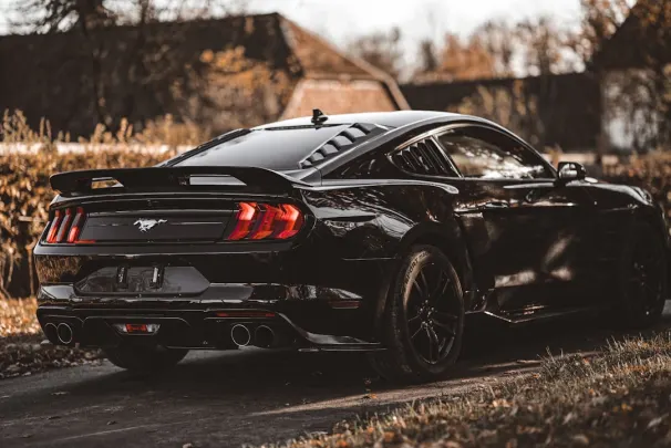 Bizz Casino Android/iOS App